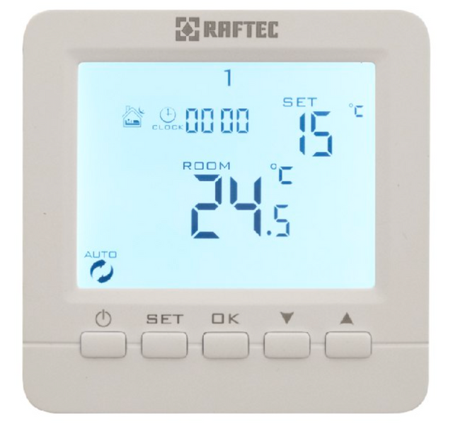 Программируемый терморегулятор Raftec R02B05 84634 фото