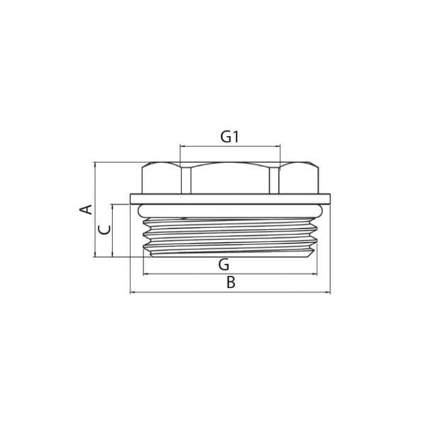 Фитинг с уплотнительным кольцом KF.F0810-R &mdash; 1&laquo;x3/4&raquo; KR5048 фото